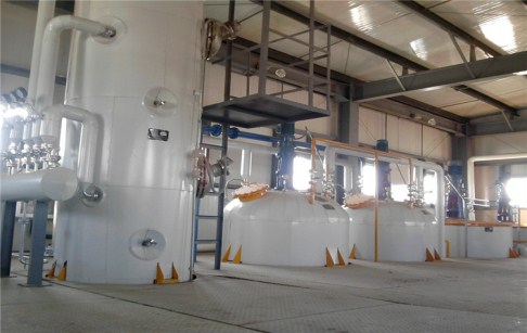 edible oil refinery plant