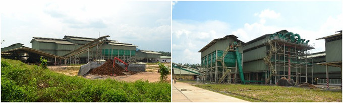 palm oil processing plant 