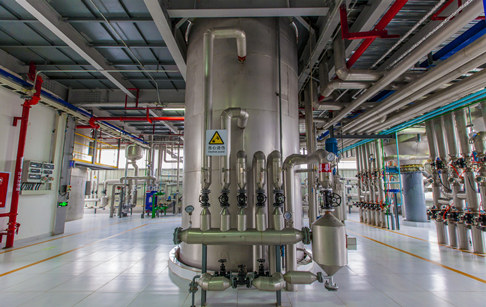 Rice bran oil deodorization process