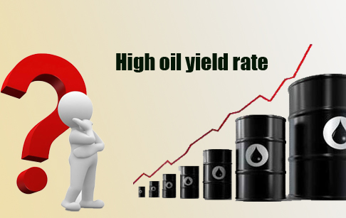 pyrolysis plant yield of oil