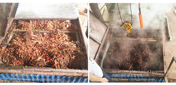 palm oil processing machine