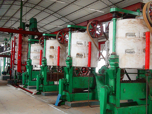 pressing machines of oil seeds