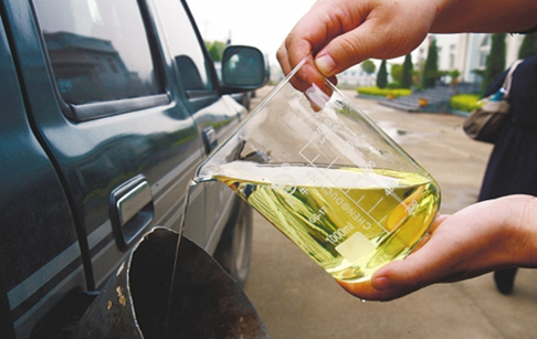 Is biodiesel can be run in any diesel engine?