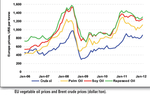 How does crude oil price affect vegetable oil markets?