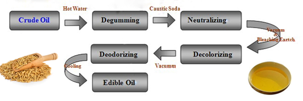 rice bran oil extraction process