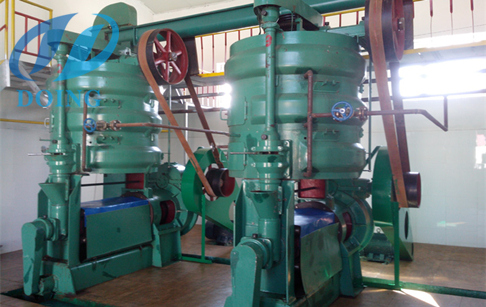 Rice bran oil extraction process