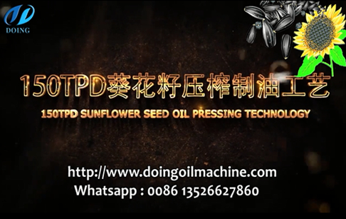 150tpd sunflower seed oil extraction process video