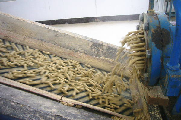 rice bran oil extraction machine
