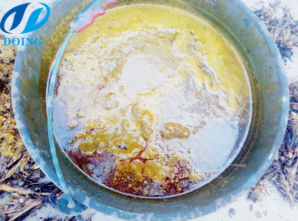palm oil