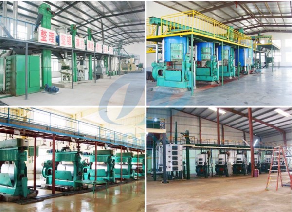 sesame oil extraction plant