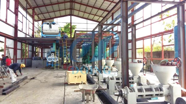 sunflower oil production in uganda