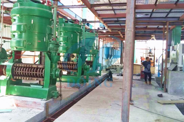 sunflower oil production in uganda