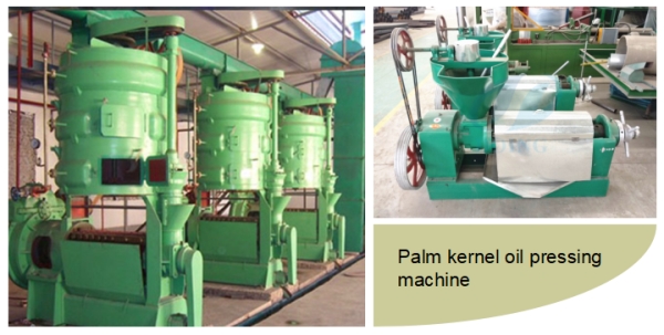 palm kernel oil pressing machine