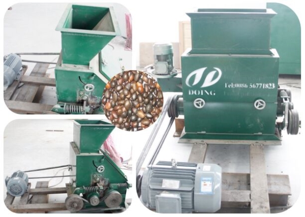 palm kernel cracker