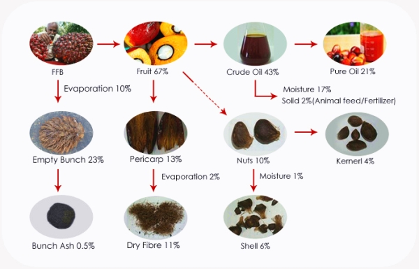 palm oil production line