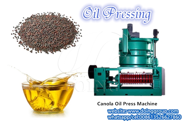 canola oil press machine