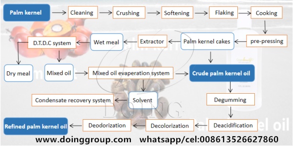 palm kernel oil extraction process