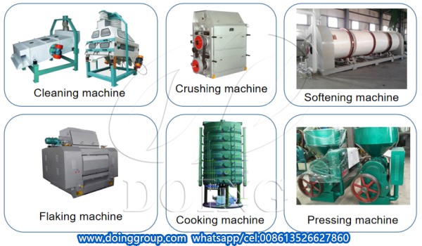 palm kernel oil processing machine
