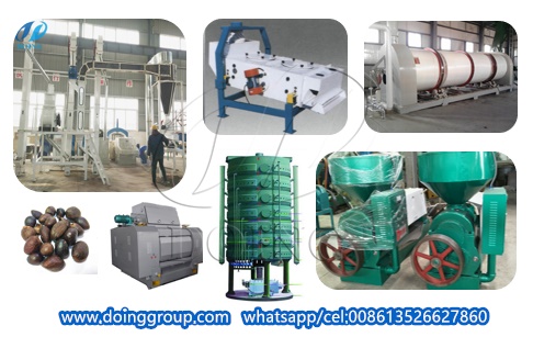 Palm kernel oil mill plant