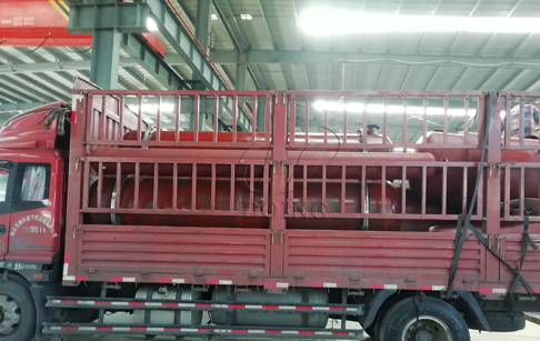 2 sets 12T/D waste tyre pyrolysis plant sold to India