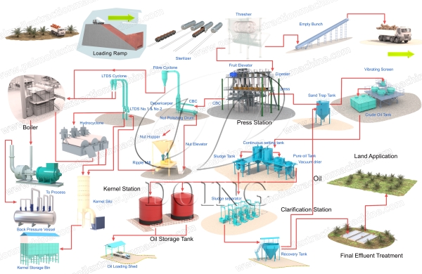 palm oil production process