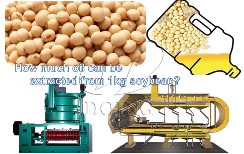 How much oil can be extracted from 1kg soybean?