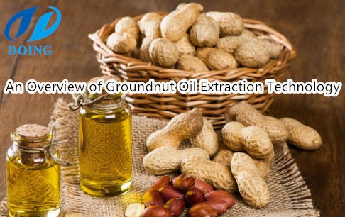 An overview of groundnut oil extraction technology