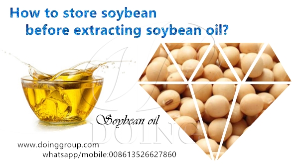 soybean oil extraction