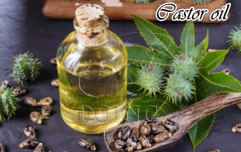 What is castor oil and its usage?