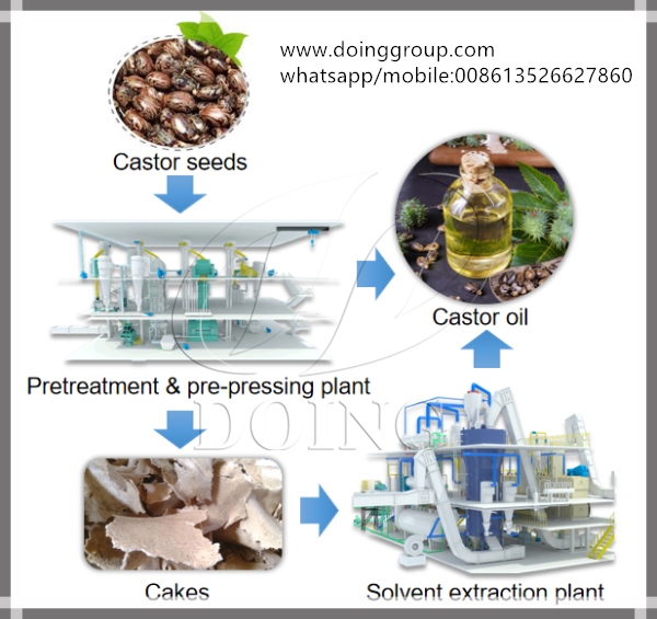 castor oil processing plant