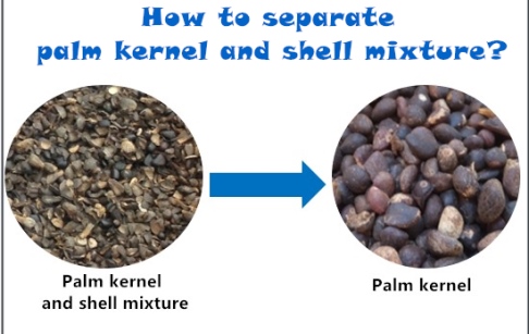 How to separate palm kernel and shell mixture?