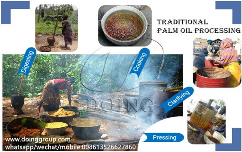 African traditional palm oil processing VS advanced palm oil processing technology