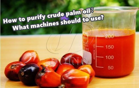 How to purify crude palm oil？What machines should to use?