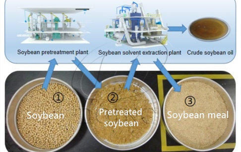 What kind of soybean oil extraction method is best for making animal feed?