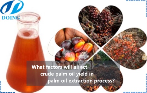 What factors will affect crude palm oil yield in palm oil extraction process?