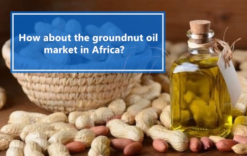 How about the groundnut oil market in Africa? Is it profitable?