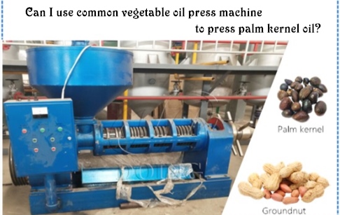 Can I use common vegetable oil press machine to press palm kernel oil?