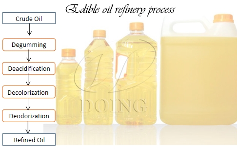 What are the critical process stages in edible oil refinery?