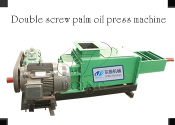 palm oil expeller machine