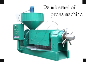 palm kernel oil expeller machine