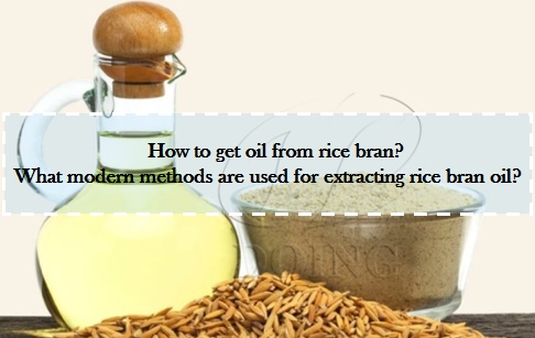 How to get oil from rice bran? What modern methods are used for extracting rice ...