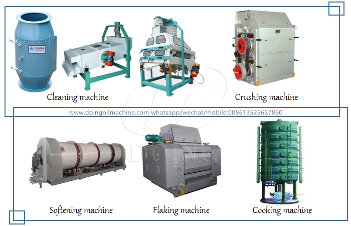 palm kernel oil extracting machine