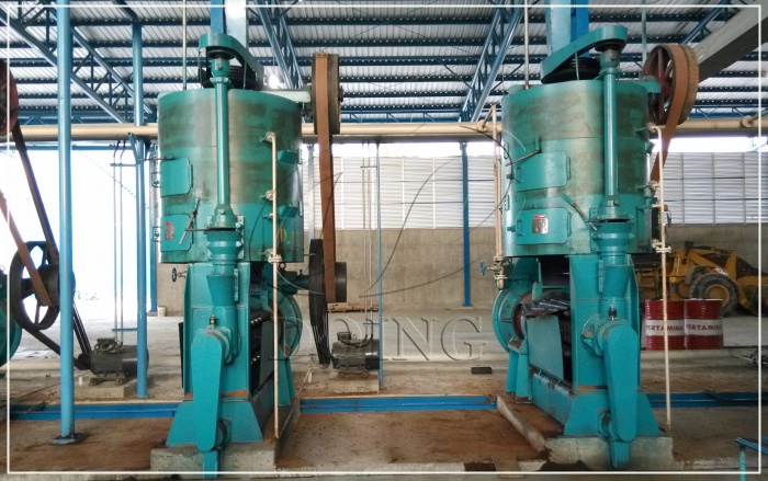 palm kernel oil press machine