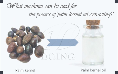 What machines can be used for the process of palm kernel oil extracting?