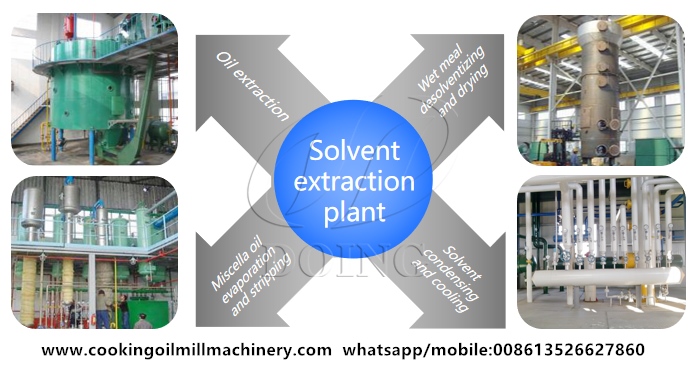 edible oil processing machine
