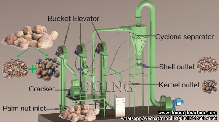 palm kernel oil extraction machine