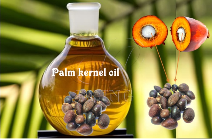 palm kernel oil