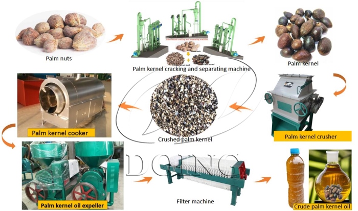 palm kernel oil extraction machine