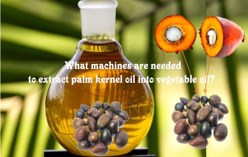 What machines are needed to extract palm kernel oil into vegetable oil?