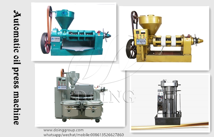 automatic oil press machine